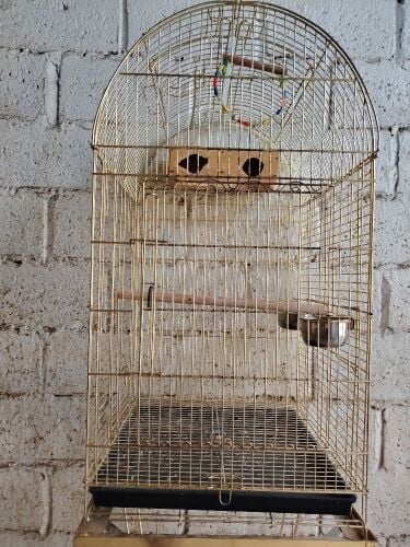 cage for sale