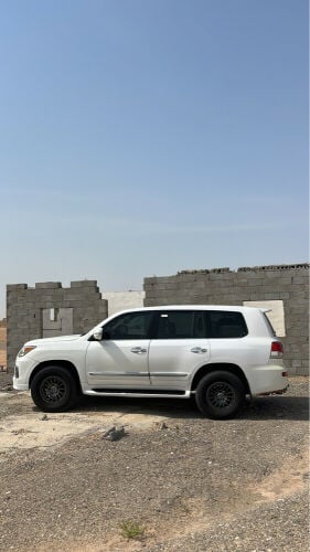 محمد 