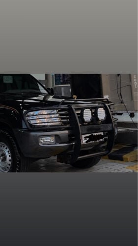دعامية