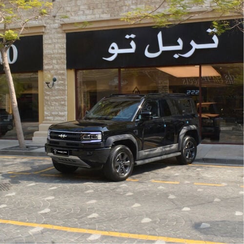 بي واي دي ليوبارد 5 موديل 2026