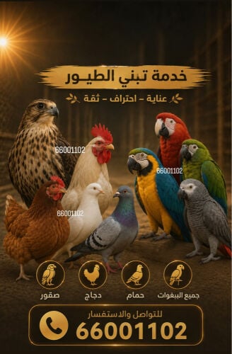 فقط خدمه تبني للطيور 