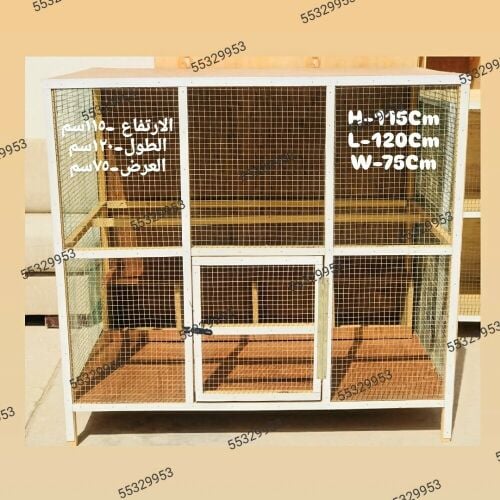 Chicken And Pigeon House