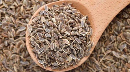مطلوب شريك براس مال 