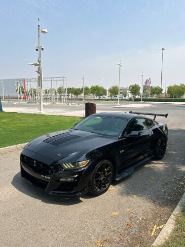 ماستنغ شلبي