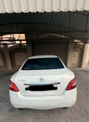 Nissan Maxima for Sale