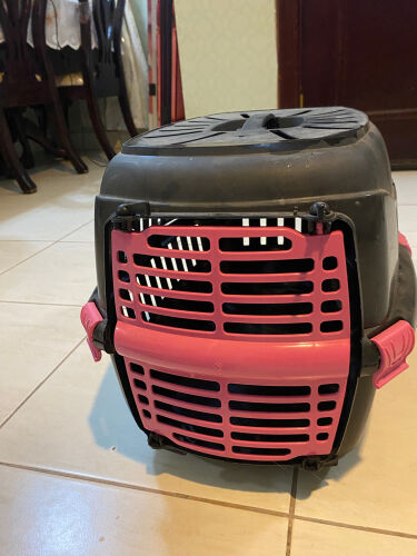 cats cage 