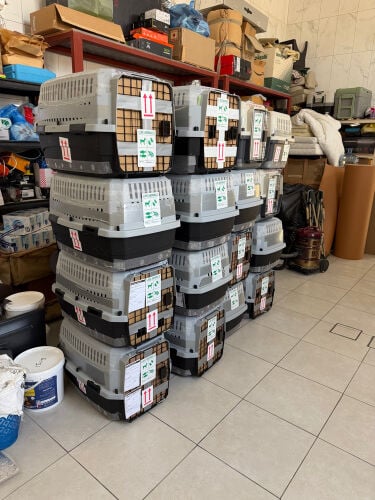 animal transport cages 