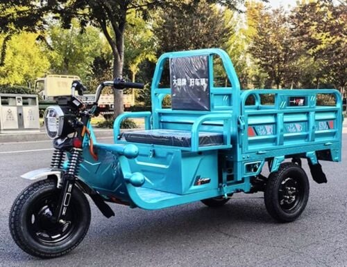 Electric cargo bikr