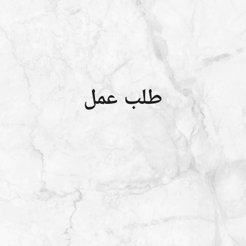 مندوب خدمات حكومية