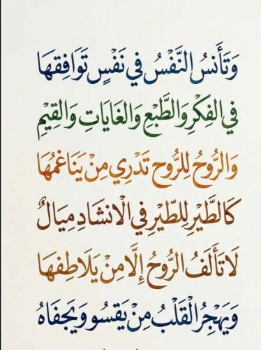 ام سند