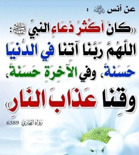 محاسب اردني ذو خبره
