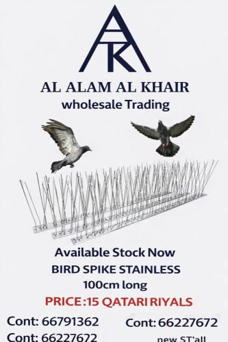 Birds spikes Standless.steel 1Meter