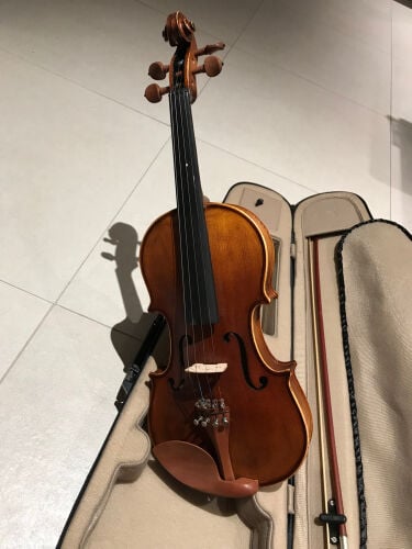 violin