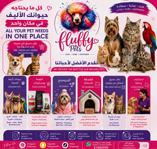محل فلافي بتس 