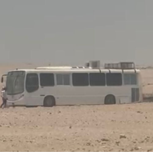 باص