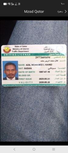 عادل محمد