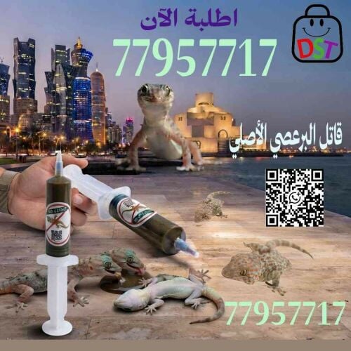 لاتقلق تخلص من البرعصي حول المنزل