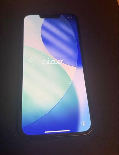 iPhone 13 