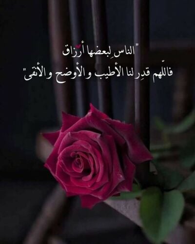 بحث عن عمل