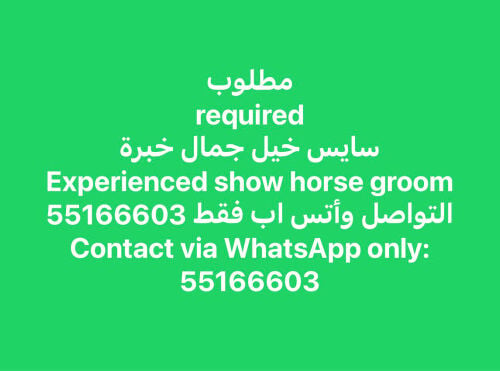 مطلوب سايس خيول جمال ذو خبرة