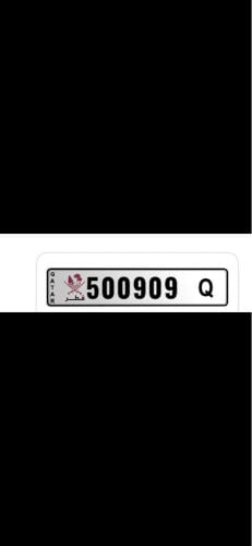 special number Q500909 