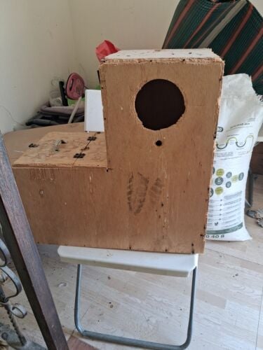 Breeding Box