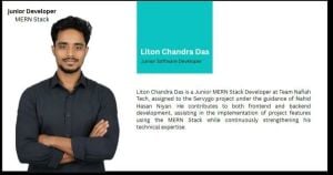 Modern Web Application Developer