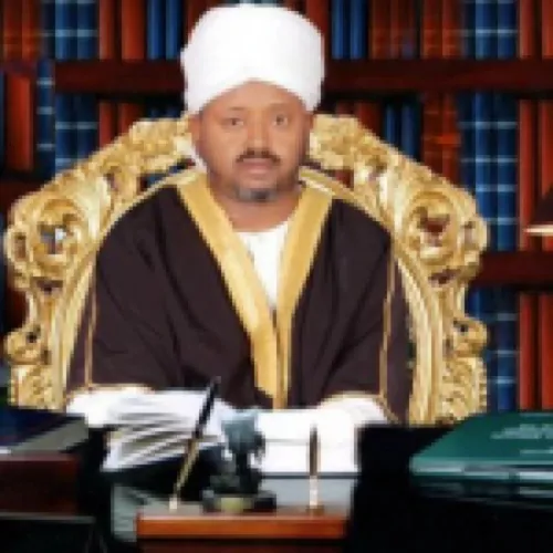 BADRELDIN ABDELKARIM AHMED MHAMED