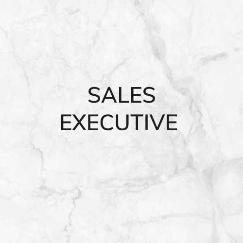 Sales Executive