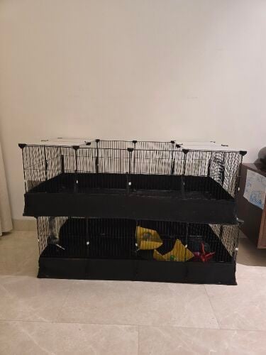 Pet Cages