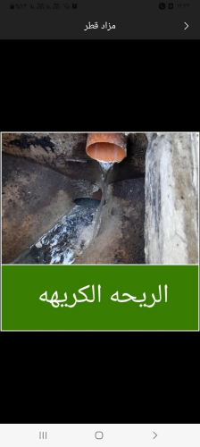 تسليك مجارى ورش الحشرات