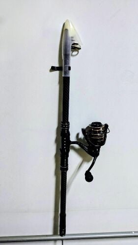 Fishing rod with reel