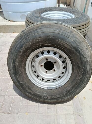 8 shanaber areed