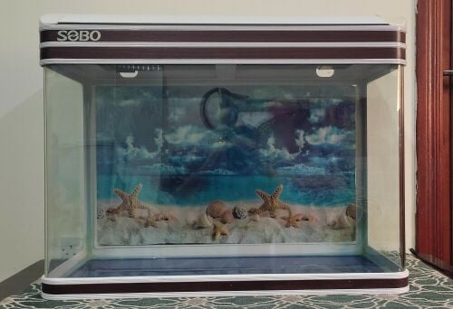 Big Aquarium in Excellent condition