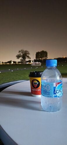 سائق عربي
