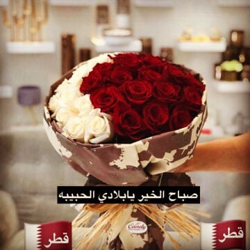 ضيافه وخدمات 