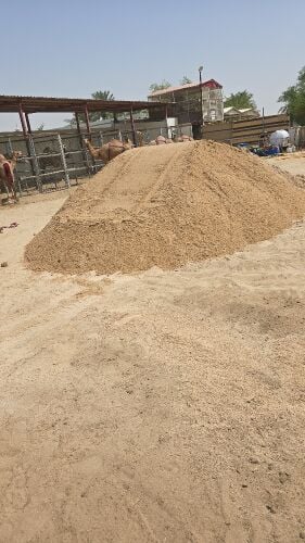 نصار