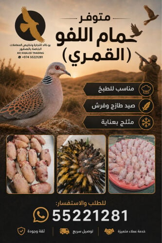 حمام لفو ( قمري ) 