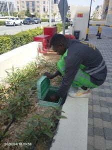 JOB VACANCY AGRICULTURAL GARDENER