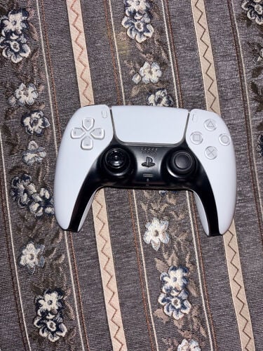 ps5 controller