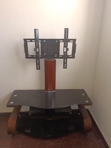 TV Stent