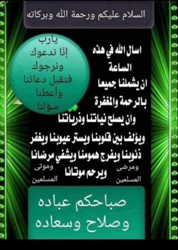 احمد عصام الدين