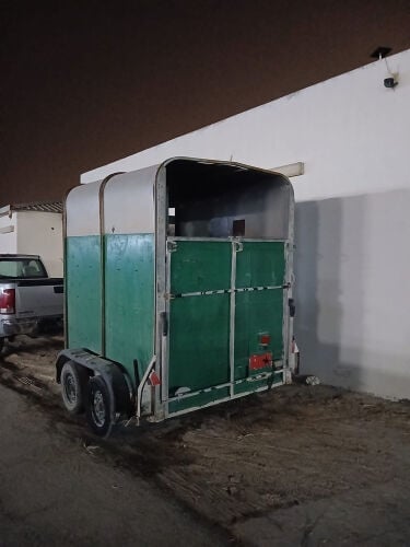 نقل خيول 