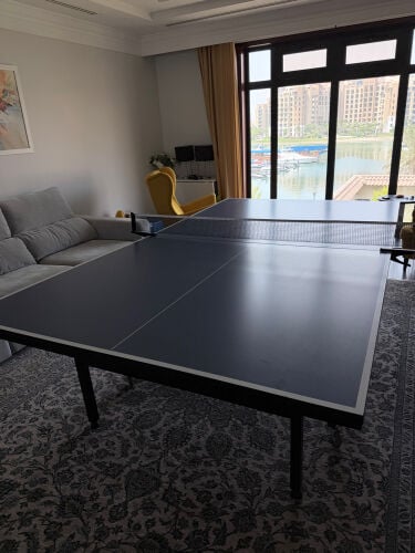 Table Tennis 