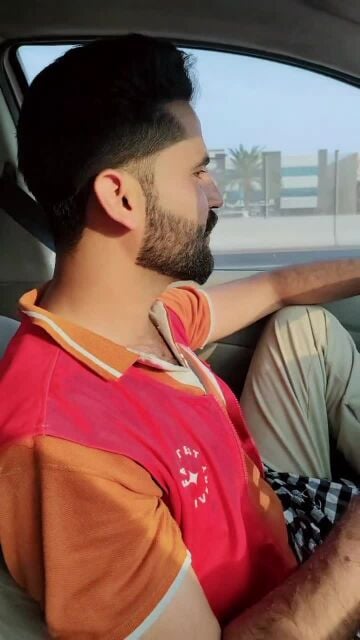 محمد شيب
