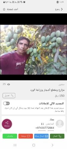 مزارع ومقطع أشجار وزراعة الورد