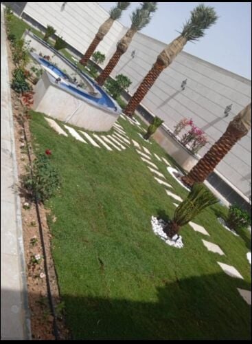 لزراعه وتنسيق الحدائق بالعشب الأخ
