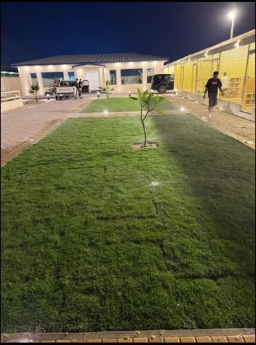 متخصصون في تنسيق الحدائق بالعشب ا