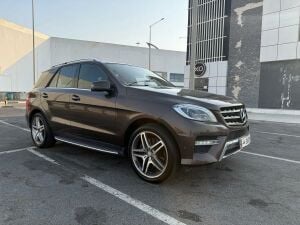 2014 Mercedes-Benz ML500 V8