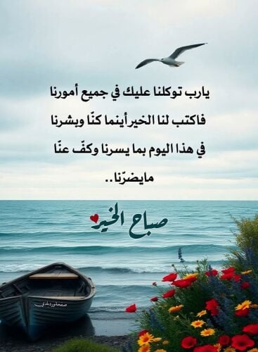 انا سايق ابحث عن عمل سايق في اي مجال